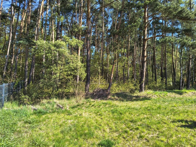 Sprzedaż  Pilchowice — zdjęcie 4