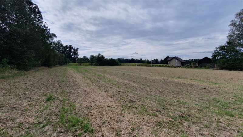 Działka rolna 85 ar Bąków — zdjęcie 3